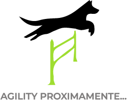 agility